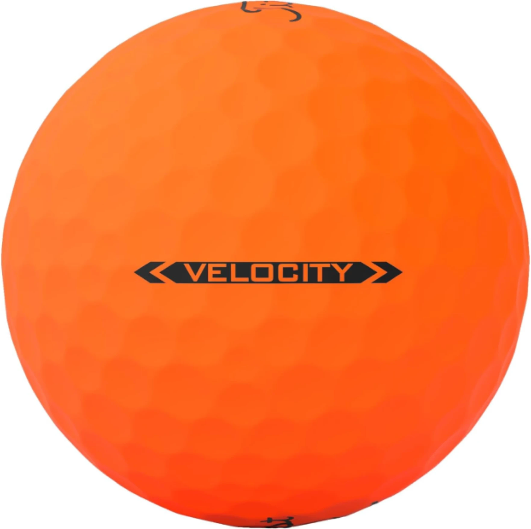Affordable Titleist Velocity Golf Balls for Sale at All Sports Outlet