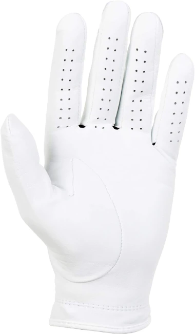 Titleist Players Men's Golf Glove Performance at All Sports Outlet