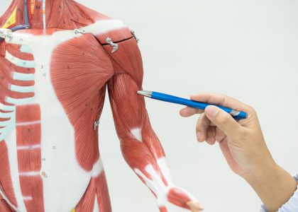 Understanding ACL Tears: The Athlete’s Guide to One of Sports Most Feared Injuries