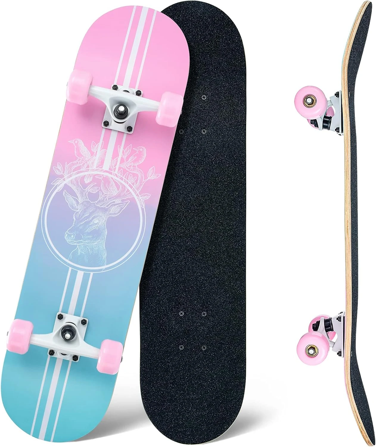 Skateboard 31 x 8 Inch Maple Deck Complete All Sports Outlet