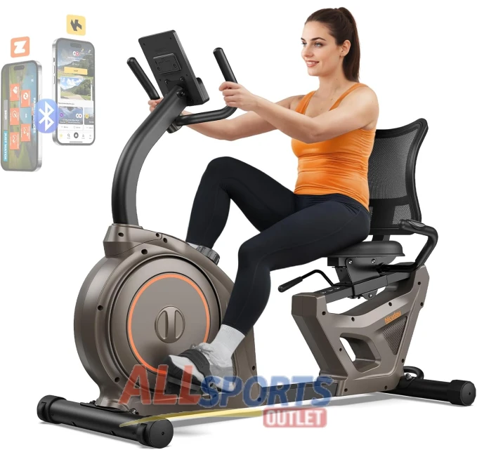 Niceday Recumbent Stationary Bike for Home Sports & Outdoors