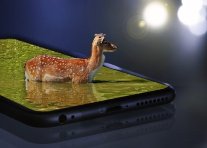 Innovative Fabrics: Revolutionizing Performance and Comfort in Athletic Apparel