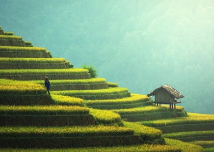 Sustainable Sportswear: Eco-Friendly Technologies Redefining Athletic Fashion