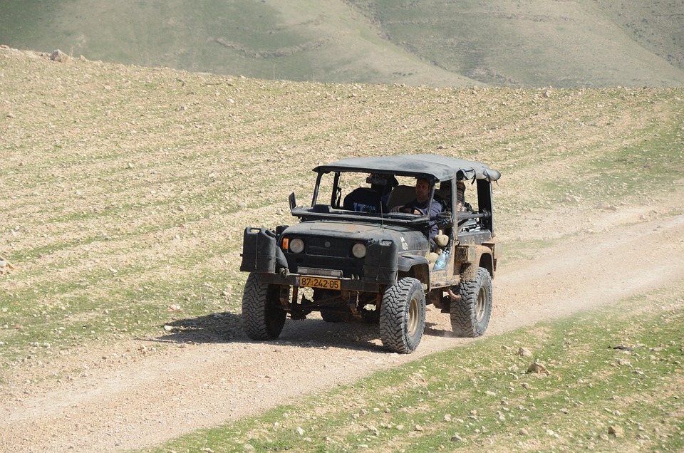 Trailblazers in Green Gear: Leading Innovations in Eco-Conscious Athletic Apparel